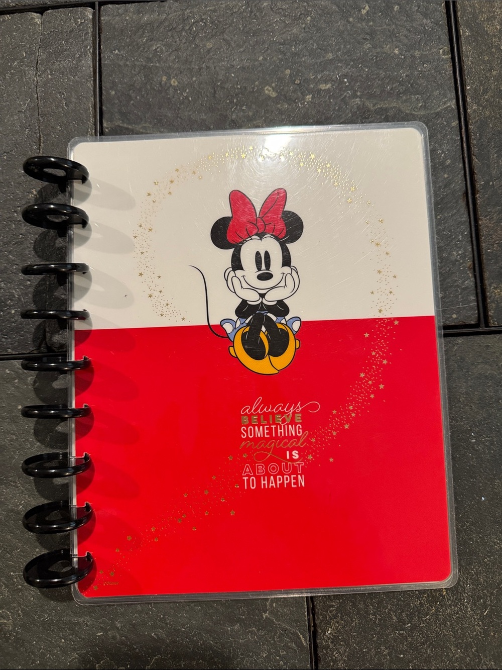 Happy Planner Cover / happy planner Disney cover